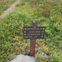 Trisha Steidl, Uli Steidl - Mt Rainier Northern Loop Trail (WA)