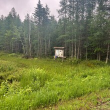 Megan Veldkamp - Pine Line Trail (WI)