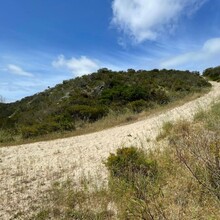 Shaun Gale - Yaberoo Budjara Heritage Trail