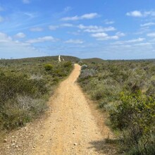 Shaun Gale - Yaberoo Budjara Heritage Trail