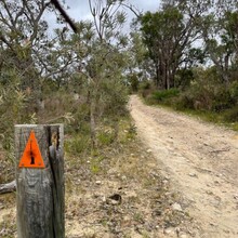 Shaun Gale - Yaberoo Budjara Heritage Trail