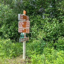 Megan Veldkamp - Pine Line Trail (WI)