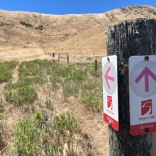 Simon Duke - Wild South Coast Way