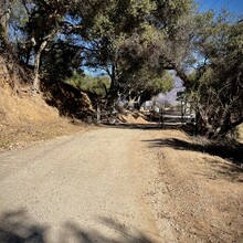 Shelby Farrell - Sulphur Mountain Road (CA)