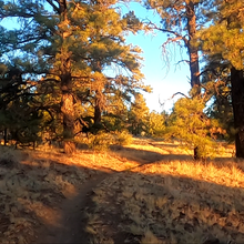 Tyler Andrews - Flagstaff Loop Trail (AZ)