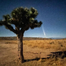 Summer Frazier - Badwater to Whitney (CA)