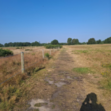 Jase Kuusisto - Epping Forest Centenary Walk (United Kingdom)