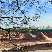 Chris Jackson - Vale Royal Round (UK)