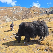 Tyler Andrews - Gokyo Ri (Nepal)