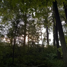 Roy Kranz, Jake Remacle, Justin Engwis - The Dragon (MI)