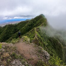 Dylan Cotton, Rozie Breslin, Nandor Szotak - Wai'anae Summit Trail (HI)