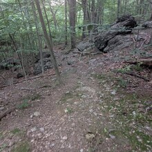 Torin Clark - The City on the Hills - Boston (MA)