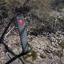 Andrew Scott - Harbour to Hawkesbury Track