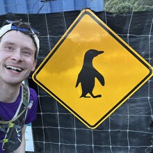 Greg Nance - Wellington Harbor Traverse (New Zealand)