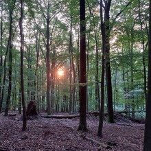 Andy Wiencek - StauSeeSteig