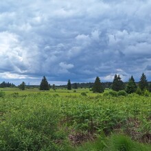 Andy Wiencek - StauSeeSteig