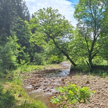 Andy Wiencek - StauSeeSteig