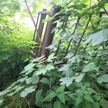 Andy Wiencek - StauSeeSteig