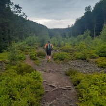 Andy Wiencek - StauSeeSteig