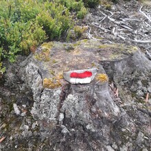 Andy Wiencek - StauSeeSteig