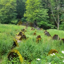 Andy Wiencek - StauSeeSteig