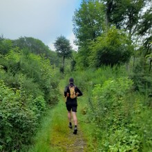 Andy Wiencek - StauSeeSteig