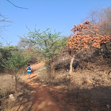 Nakul Butta - The Nilgai Forest Trail | CapitalTrails RC