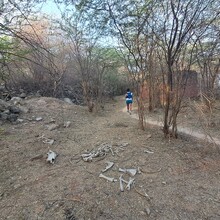 Nakul Butta - The Nilgai Forest Trail | CapitalTrails RC