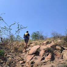 Nakul Butta - The Nilgai Forest Trail | CapitalTrails RC
