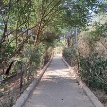 Nakul Butta - The Nilgai Forest Trail | CapitalTrails RC