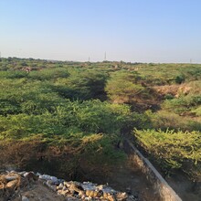Nakul Butta - The Nilgai Forest Trail | CapitalTrails RC