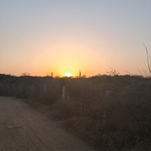 Nakul Butta - The Nilgai Forest Trail | CapitalTrails RC