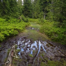 Tessa Caspers - Einsiedeln Loop (Switzerland)
