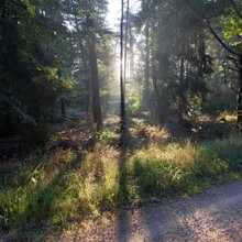 Paulina Zack - AhrSteig (Germany)