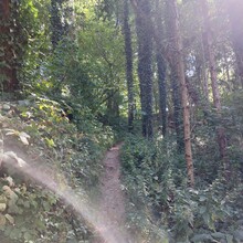 Paulina Zack - AhrSteig (Germany)