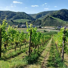 Paulina Zack - AhrSteig (Germany)