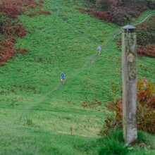Elsey Davis - Lap of Cornwall
