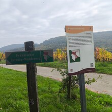 Maximilian Schwarz - Fränkischer Rotwein-Wanderweg