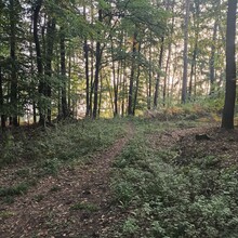 Maximilian Schwarz - Fränkischer Rotwein-Wanderweg
