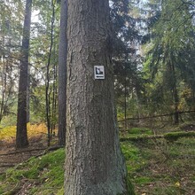 Maximilian Schwarz - Fränkischer Rotwein-Wanderweg