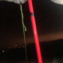 Ishmael Burdeau - Gritstone 100 (United Kingdom)