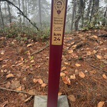 Iso Yucra - Camino de Benito Juárez