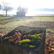 Mirko Forgetta - Lac Lacanau (France)