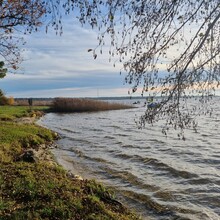 Mirko Forgetta - Lac Lacanau (France)