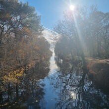 Mirko Forgetta - Lac Lacanau (France)