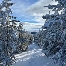 Ashley Peterson - Highwood Baldy (MT)