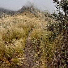 Nicole Viteri - Rumiñahui Central