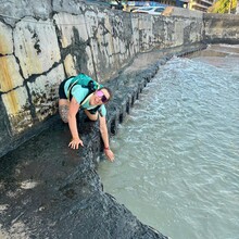 Ashley Peterson - Mauna Kea (Ascent from Kona)