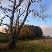 Katy Ross, Tal Taran - Somerset Three Peaks