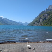 Lea Bälack - Walensee Runde (Switzerland)